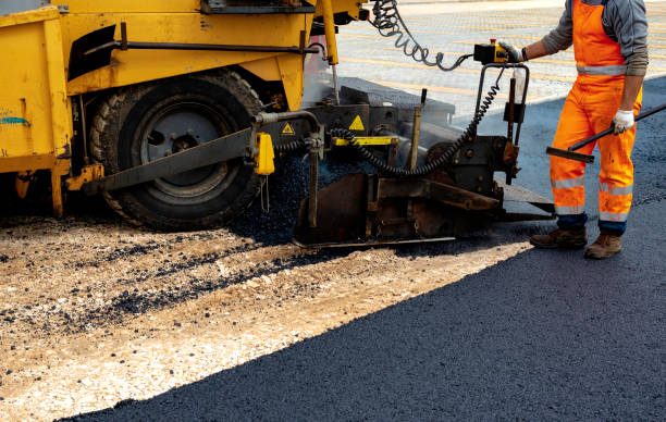 Best Decorative Concrete Driveways  in Shenandoah, TX